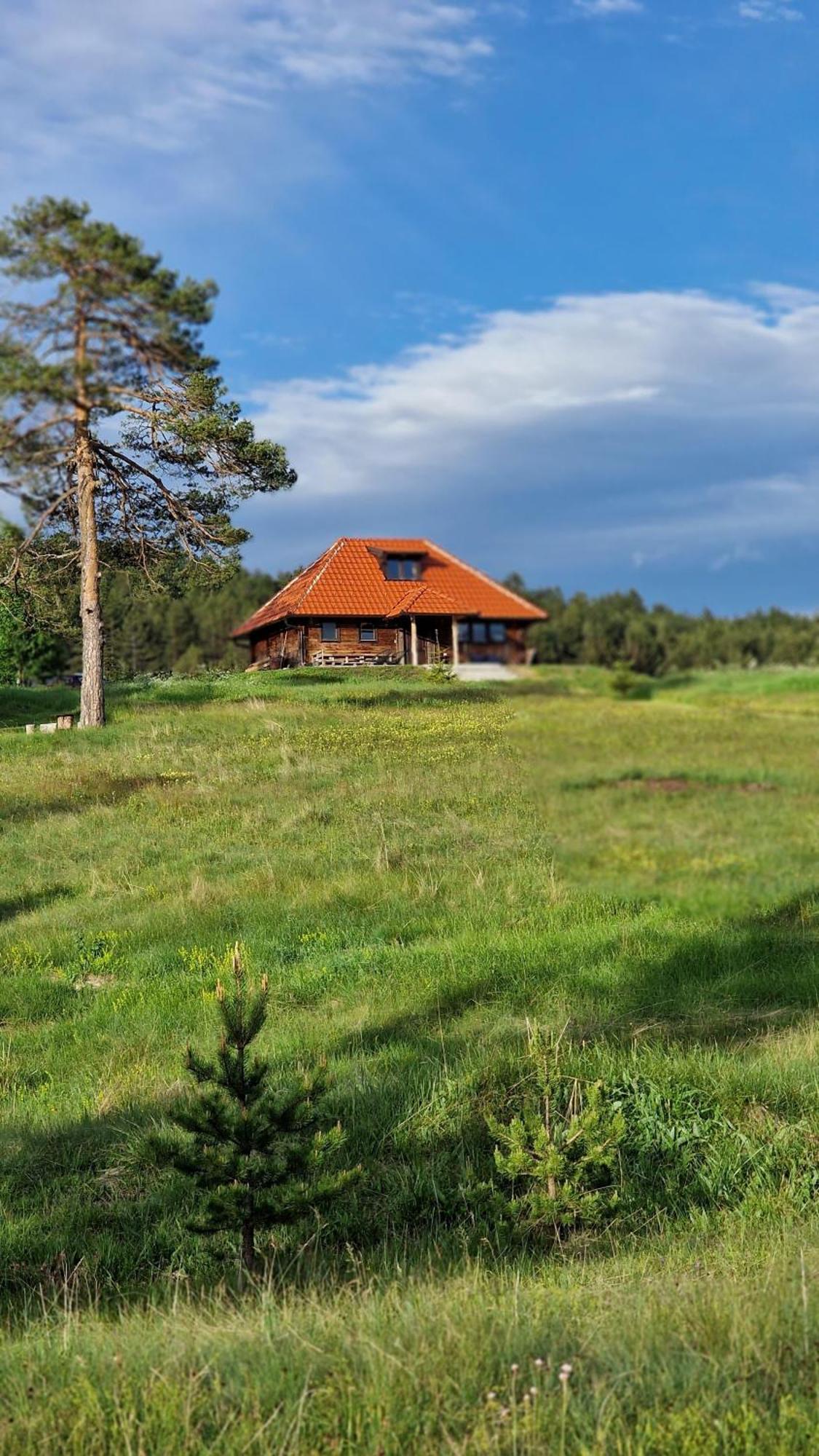 Skroviste, Zlatibor-vodice Casa vacanze *