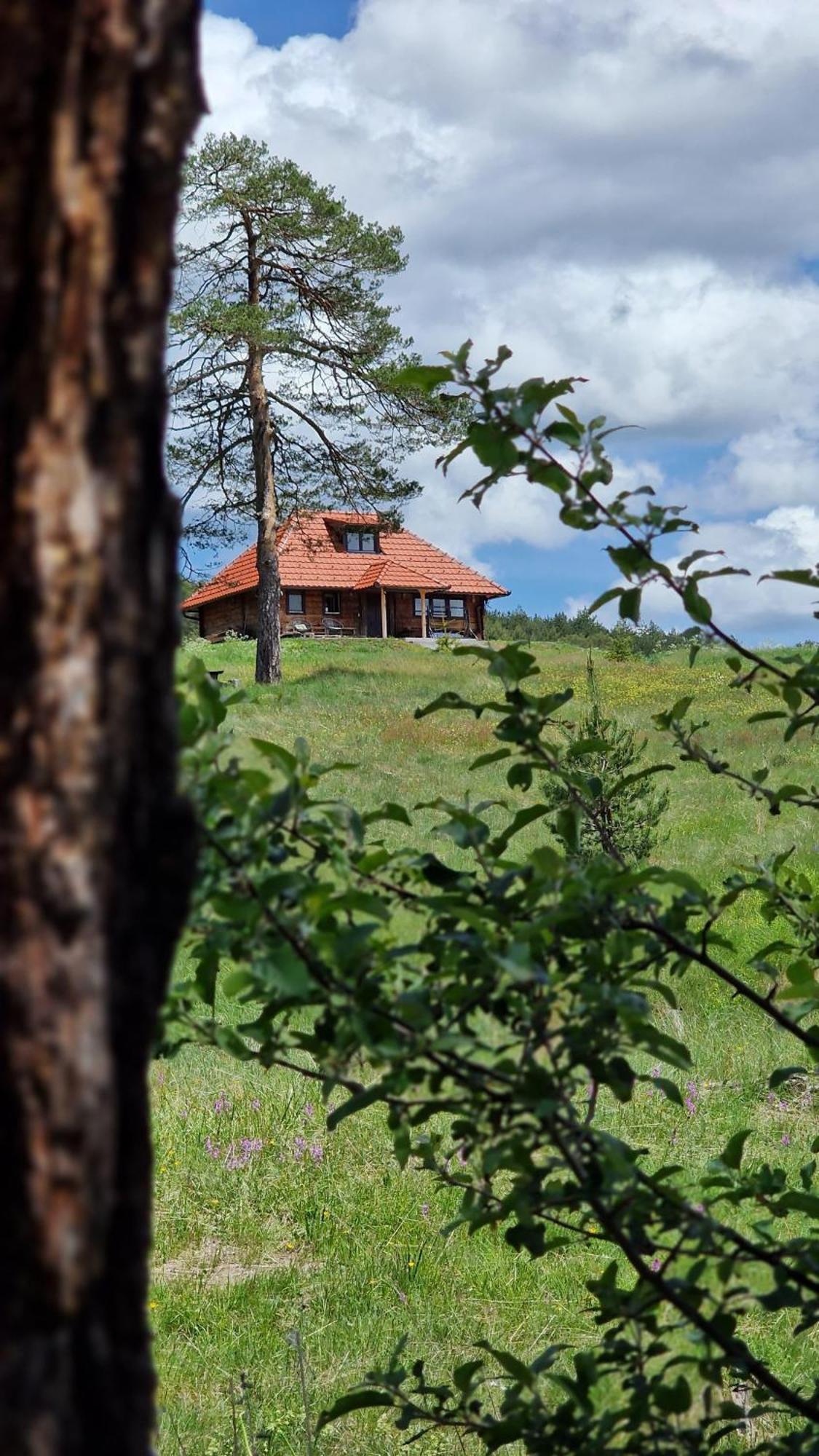 Skroviste, Zlatibor-vodice Casa vacanze Zlatibor